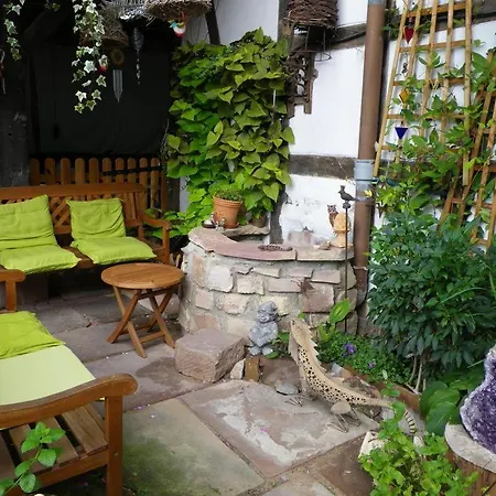 住宿加早餐酒店 A L'arc En Ciel 布勒斯海姆